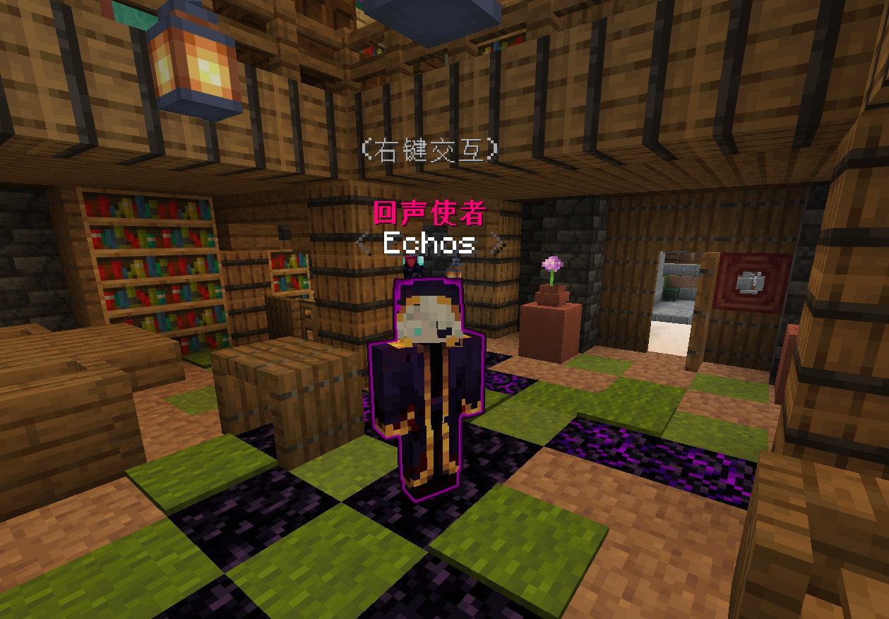 回声使者 NPC